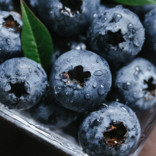 乐作 | 云南高山花香蓝莓 甜脆花香十足新鲜水果晨采午发顺丰空运