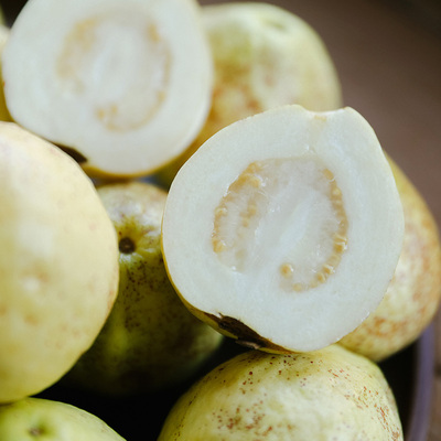 乐作｜胭脂丑芭乐高糖版 白心味浓果香 软糯肉质肥厚福建核心产区