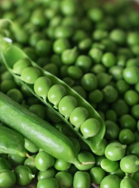 乐作自种新鲜嫩豌豆露天生态个小味甜炒焖饭煮汤顺丰冷链空运可选