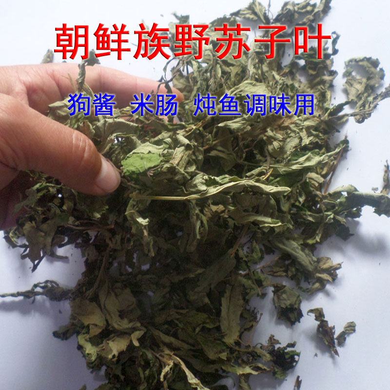 延边野苏子叶东北延吉朝鲜族野苏子叶 狗酱炖鱼肉米肠辅助调味料