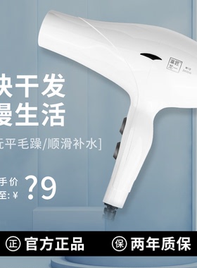 发廊理发专用吹风机2400W