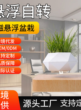 批发网红磁悬浮植物盆栽景客厅家居摆件伴手礼禅意磁浮仿真工艺