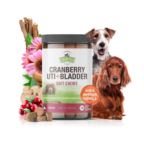美国直邮 Strawfield Pets' Cranberry UTI + Bladder 狗尿路补剂