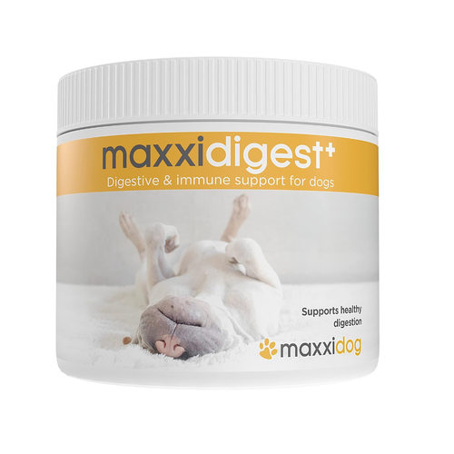 美国直邮maxxiUtract  Probiotic & Prebiotic 狗用消化免疫 198g