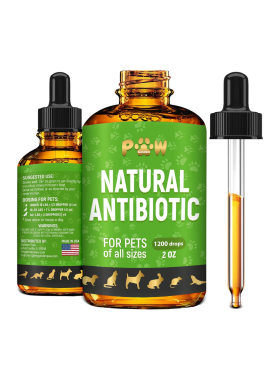 美国直邮 Golden Paw Dog Antibiotics 宠物天然成分抗生素新配方
