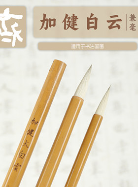 齐水轩大中小白云毛笔兼毫国画专用书画毛笔精制宜书宜画中楷毛笔