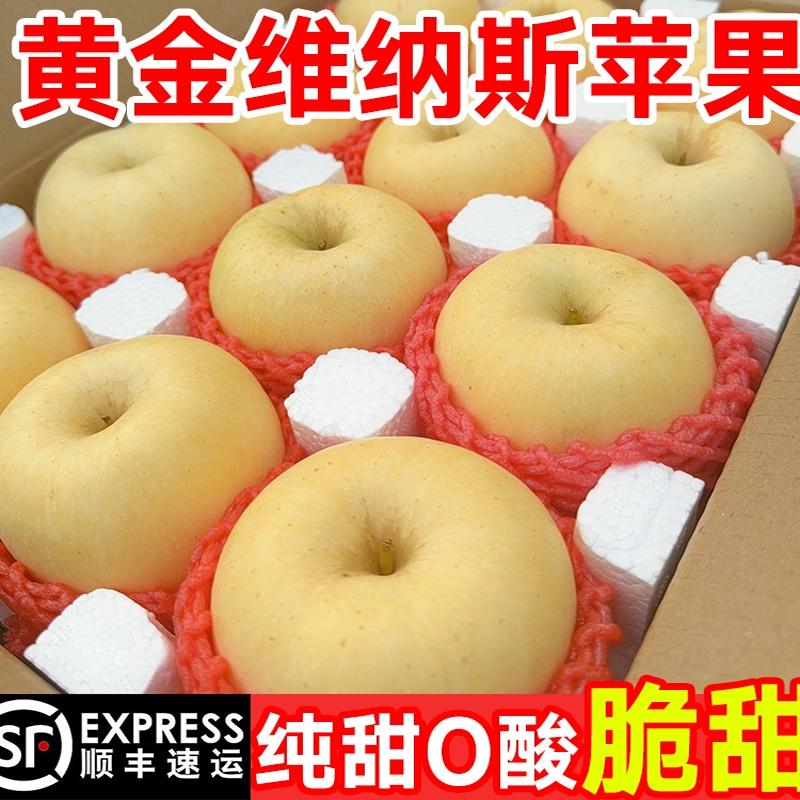 山东维纳斯黄金苹果新鲜水果当季整箱现摘脆甜冰糖心丑苹果