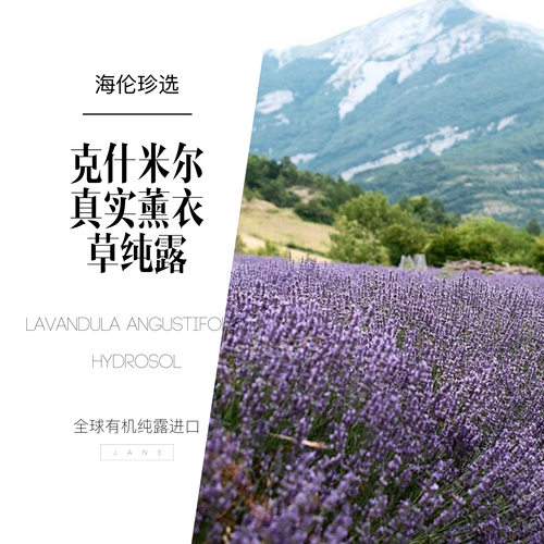 海伦珍选真实薰衣草克什米尔