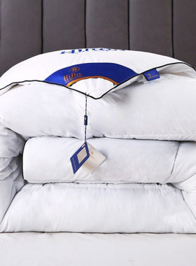 Warm Bed Quilt Duvet Hotel Blanket被芯仿鹅绒秋冬加厚丝绒被子