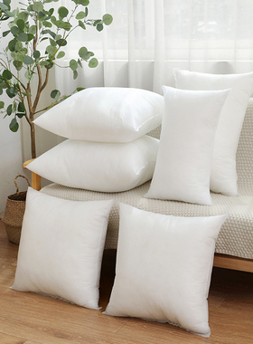 Throw Pillows Sofa Couch Cushion Decorative Pillow insert枕