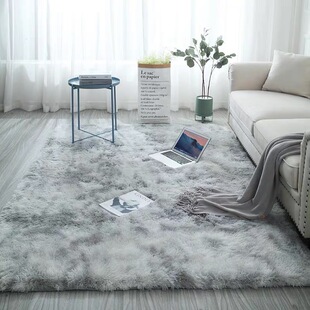 Living Room Rugs for Bedroom Indoor Carpet Nursery Rugs地毯