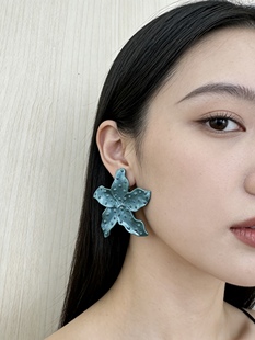 跨境欧美夏季 夏日度假风潮高级感夸张海边耳饰女 海星耳钉女新款