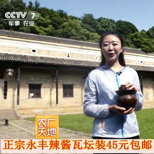 湖南双峰特产永丰辣椒酱辣酱麦子酱刀豆酱地蚕酱瓦坛辣酱900g