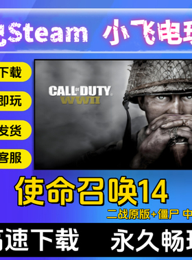 使命召唤14二战中文COD14整合暗影战争全PC电脑单机游戏送僵尸版