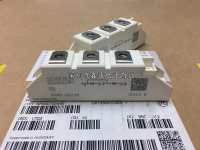 全新SKMD100/08 SKMD100/12 SKMD100/14 SKMD100/16 SKMD100/18E