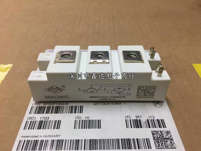 MMG100D170B6EN MMG75S170B6EN MMG100S170B6EN MMG50S170B6EN