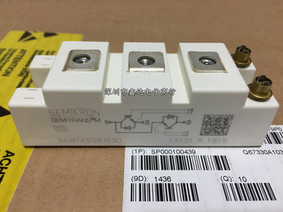 SKM145GAL176D SKM195GAL124D SKM145GB123D SKM75GAL123D