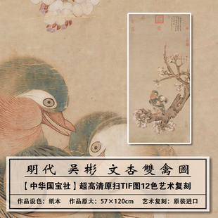 1：1原版复刻高清明代吴彬文杏双禽图扫描大图装饰画临摹画稿学习