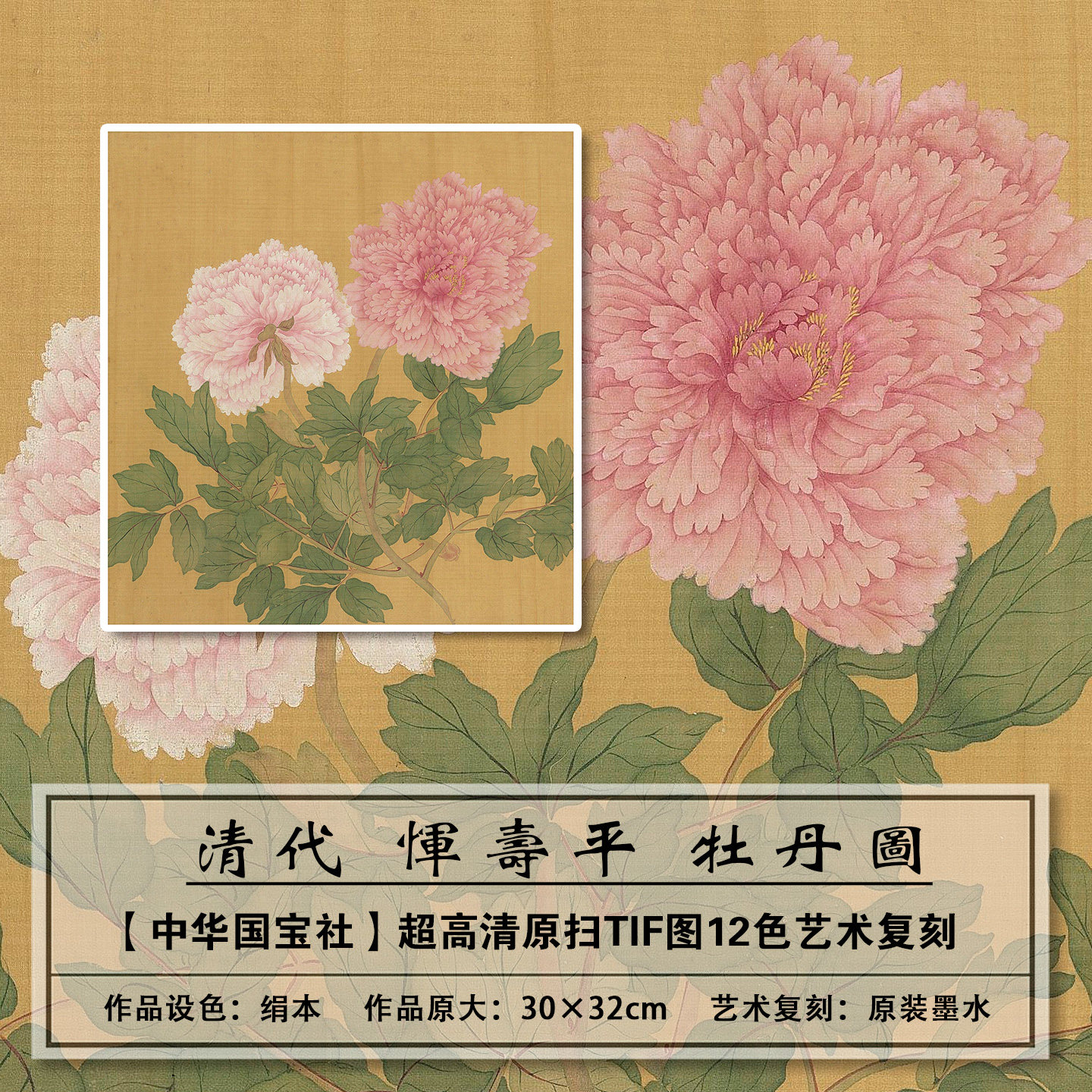 1：1原版复刻高清清代恽寿平_牡丹册扫描大图装饰画临摹画稿学习
