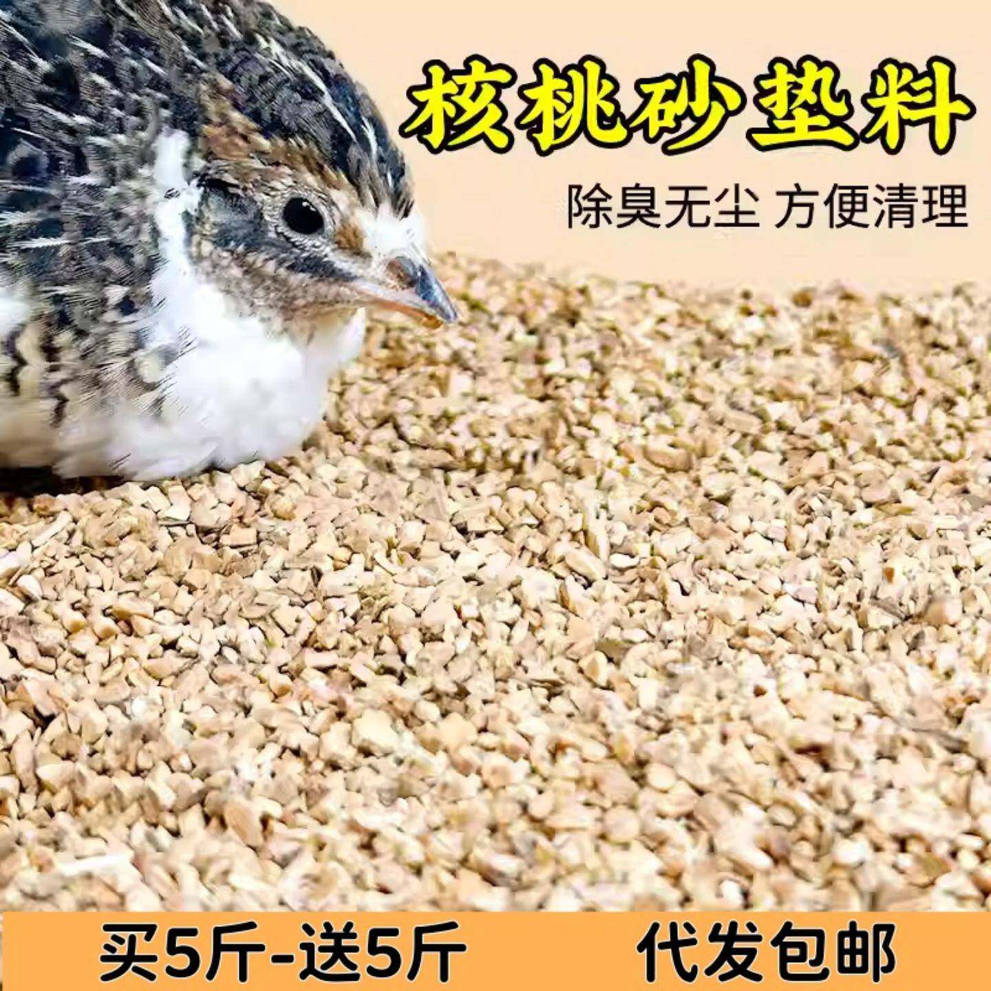 核桃砂垫料芦丁鸡专用鼠类过冬天用核桃砂养鸡发酵床