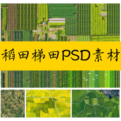 乡村稻田梯田菜地贴图ps素材psd免扣田园景观农田平面鸟瞰效果图