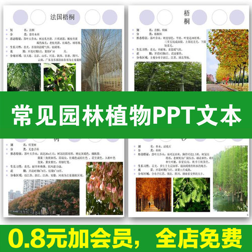 常用园林植物认识介绍乔木灌木地被花卉景观分类应用图片PPT模板