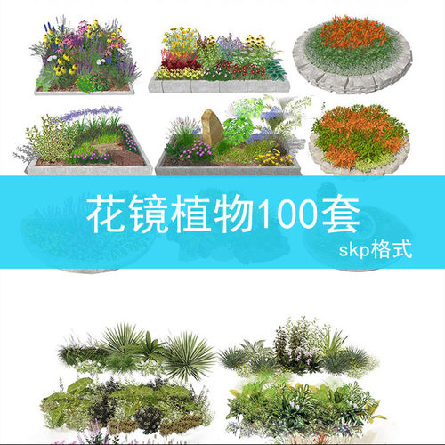 60 园林景观花镜花境植物su模型库配置地被花丛花草花卉草花组团