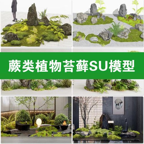 23蕨类植物苔藓耐阴耐荫庭院日式园林景观小品石头堆草图大师SU