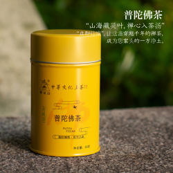 普陀佛茶绿茶50g罐装山海藏灵叶禅心茶汤2026年普陀山茶罐装