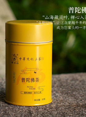 普陀佛茶绿茶2025新茶罐装50g