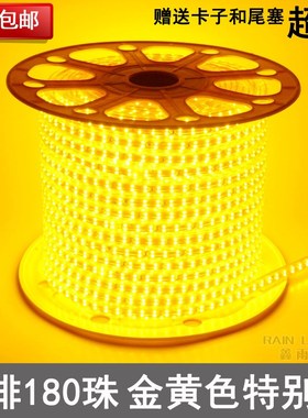 金黄色 2835LED灯带220V金黄光120/156/180珠家装酒店KTV防水灯条