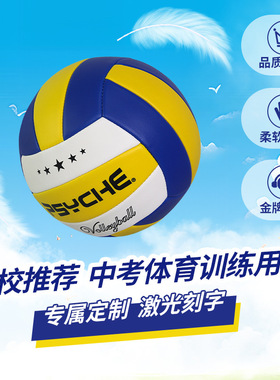 PSYCHE普赛克5号PVC机缝排球中考专用学生训练软式高弹力耐磨排球