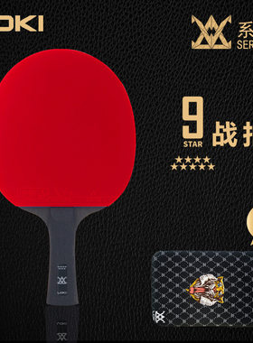 LOKI碳素乒乓球拍专业级直拍横拍
