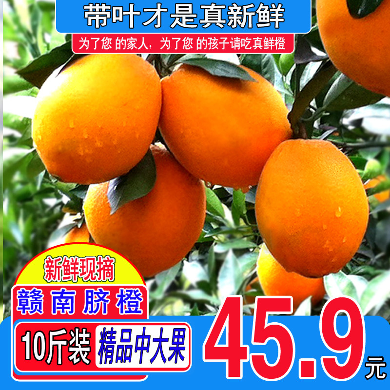 现摘江西橙子正宗赣南脐橙新鲜水果甜橙手剥薄皮橙子10斤装中大果