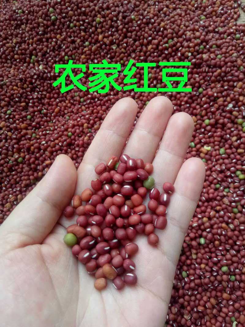 安庆红豆农家红小豆五谷杂粮红小豆小红豆红豆薏米粥原料2500g