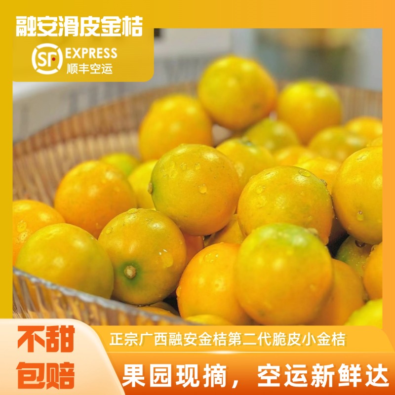广西第二代融安滑皮金桔顺丰包邮