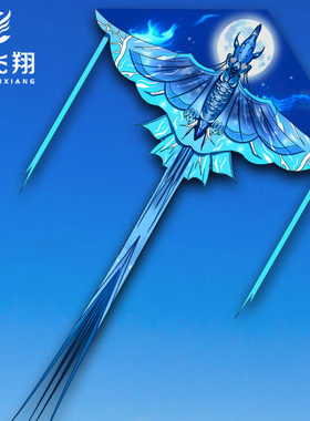 同飞翔大人专用微风易飞