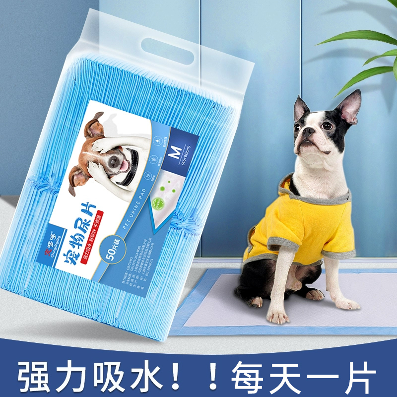 狗狗尿垫宠物尿片加厚吸水泰迪尿布厕所用品尿不湿100片包邮