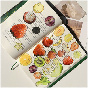 原创可爱水果蔬菜苹果葡萄迷你版书签透光精致读书标记阅读透卡书