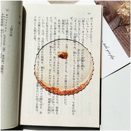 原创剥开的荔枝苹果葡萄水果书签