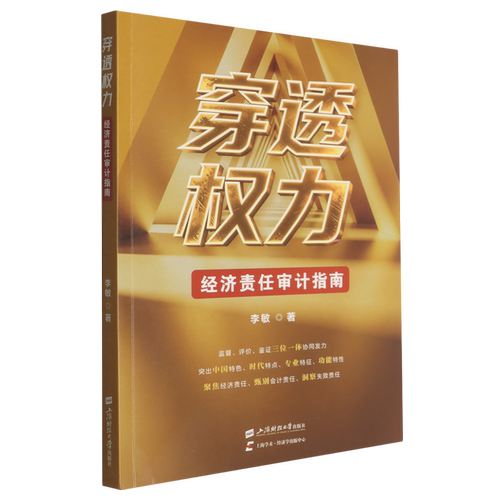 穿透权力:经济责任审计指南