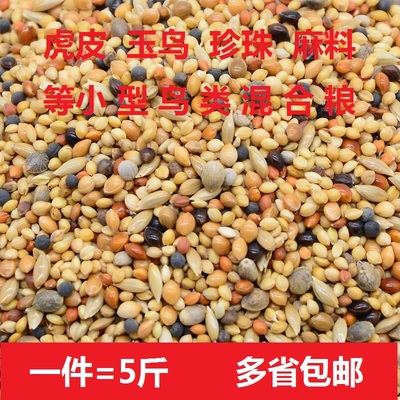 五色加纳麻料珍珠小型包邮黍子