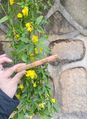 美宝莲水晶胶原唇彩 琉金 P12 PF32 C32 口红