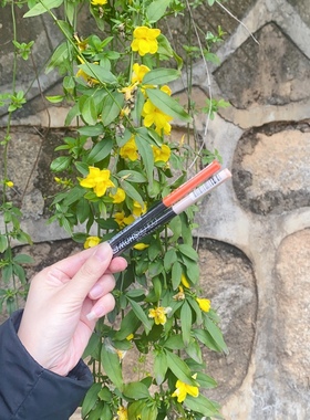 美宝莲轻松画柔滑炫彩眼线笔 孔雀绿 亮彩橘 柔光裸  璀璨金 黑色