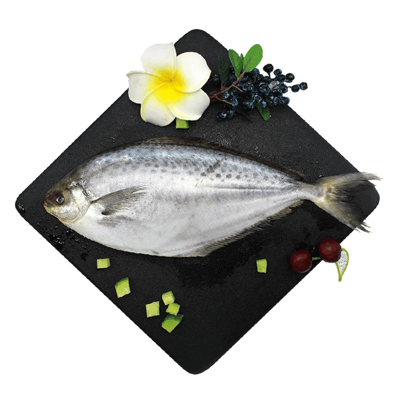 Imported Deep sea Snowflake Butterfish Argentina speckle Butterfish fresh Frozen goods Hydron Freezing Breamin the Aquatic meat/Fresh fruits and vegetables/Cooked , Seafood/Aquatic/Product , Other  category - from Buy2taobao.com to provide professional Taobao agent buy service