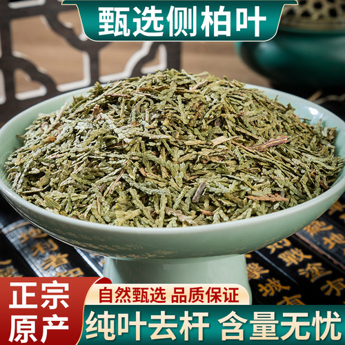 本草堂侧柏叶中药材洗头粉野生