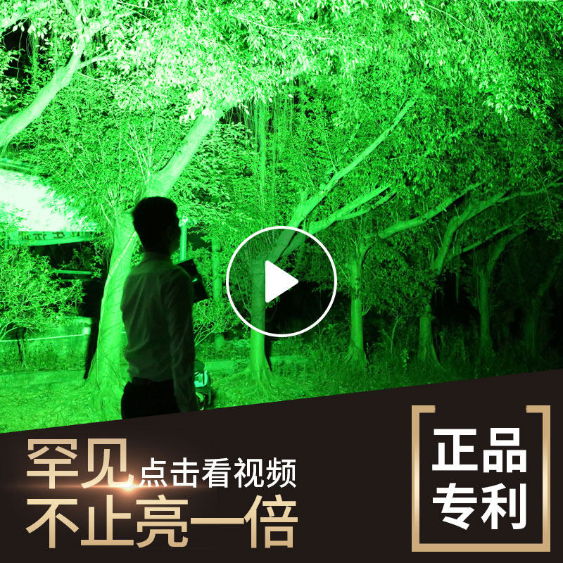劲亮低压12-24V投光灯户外射灯防水照树灯七彩庭院景观投射灯led