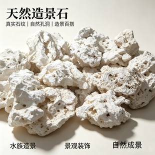 印尼爪哇岛干岩石爪哇石海缸天然造景石代替活石免爆藻死石培菌石
