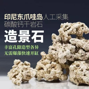 印尼爪哇岛干岩石爪哇石海缸天然造景石代替活石免爆藻死石培菌石