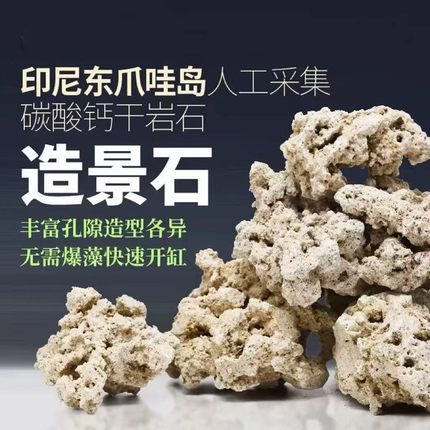 印尼爪哇岛干岩石爪哇石海缸天然造景石代替活石免爆藻死石培菌石